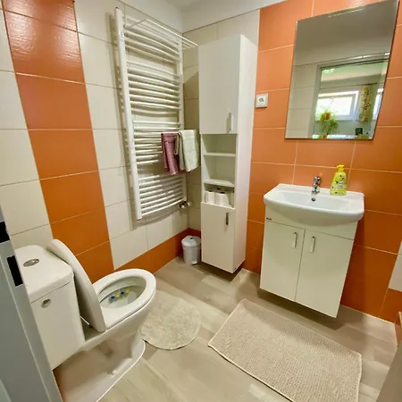Apartman Karovi Destne v Orlickych horach Exterior photo