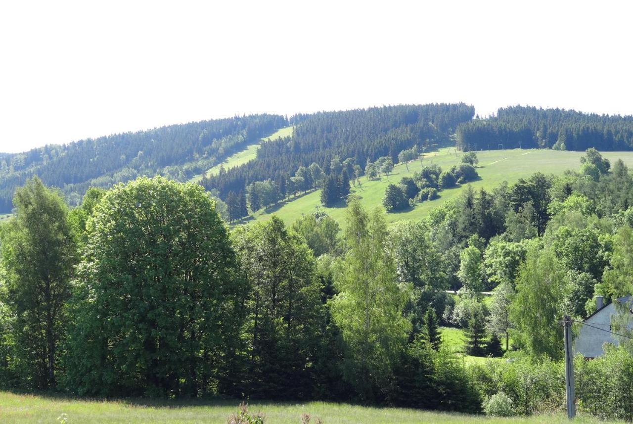 Karovi * Destne v Orlickych horach