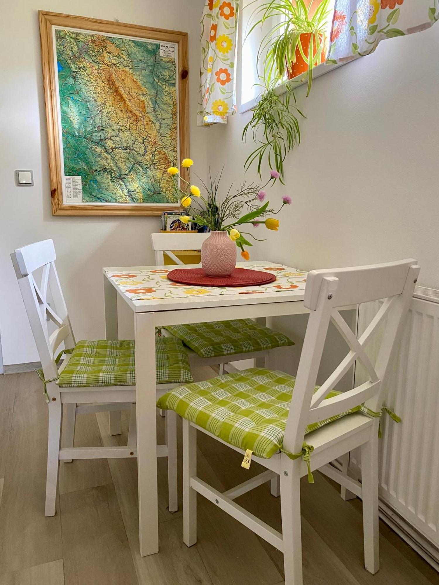 Apartment Karovi Destne v Orlickych horach
